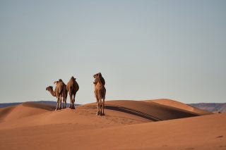 el roaming en marruecos