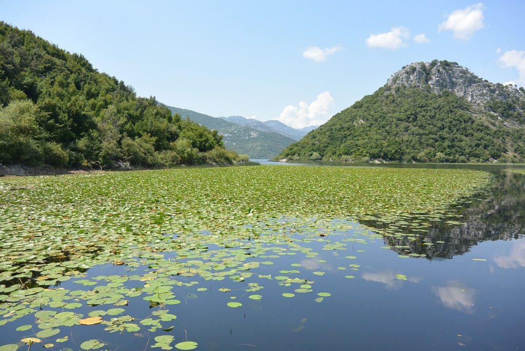 lago skadar en albania con montenegro